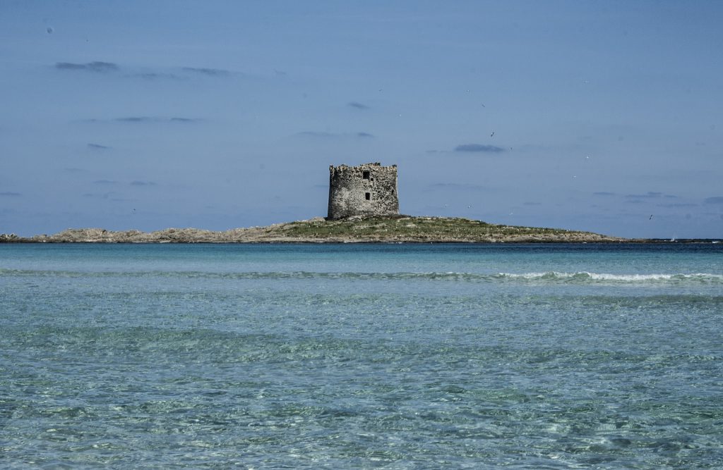 Torre della Pelosa