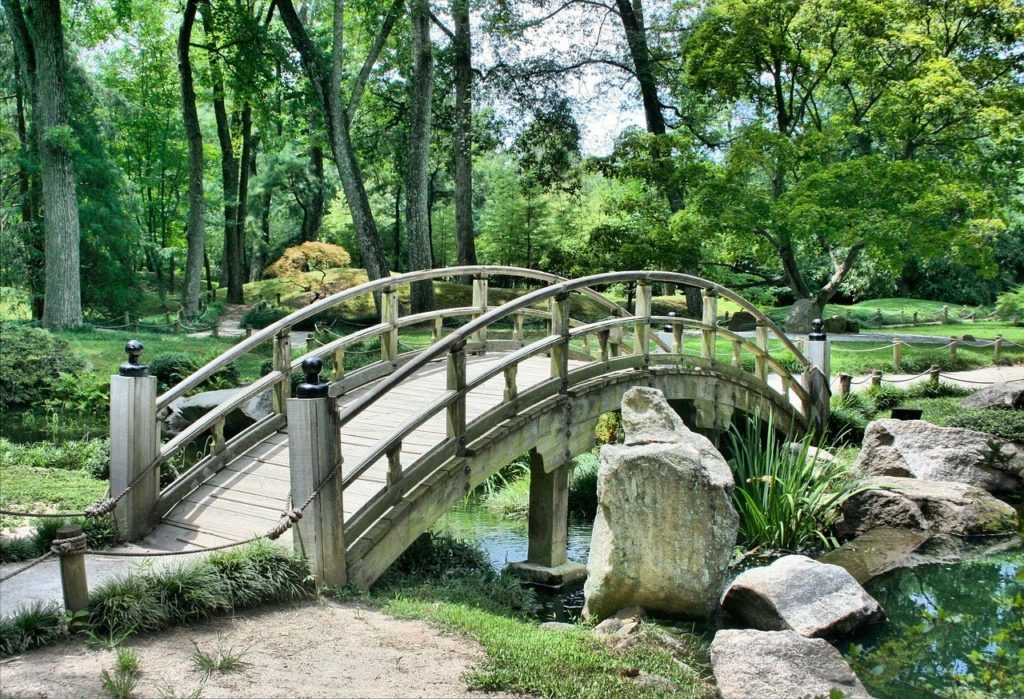 Zen Rock Garden